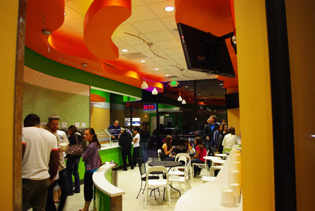 Yogurt Brothers-2